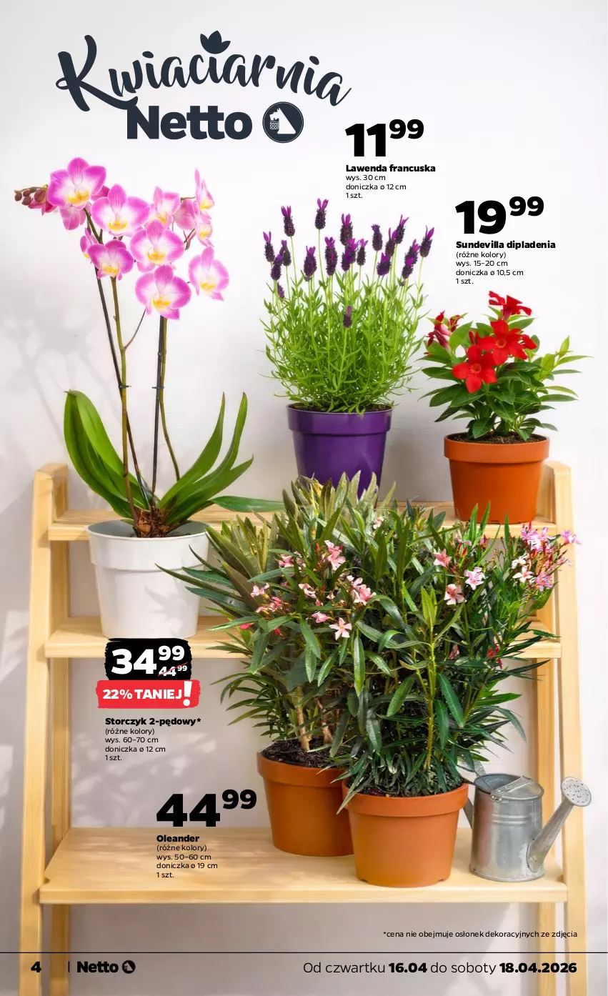 Gazetka promocyjna Netto - Od Czwartku - ważna 16.04 do 18.04.2026 - strona 4 - produkty: Storczyk