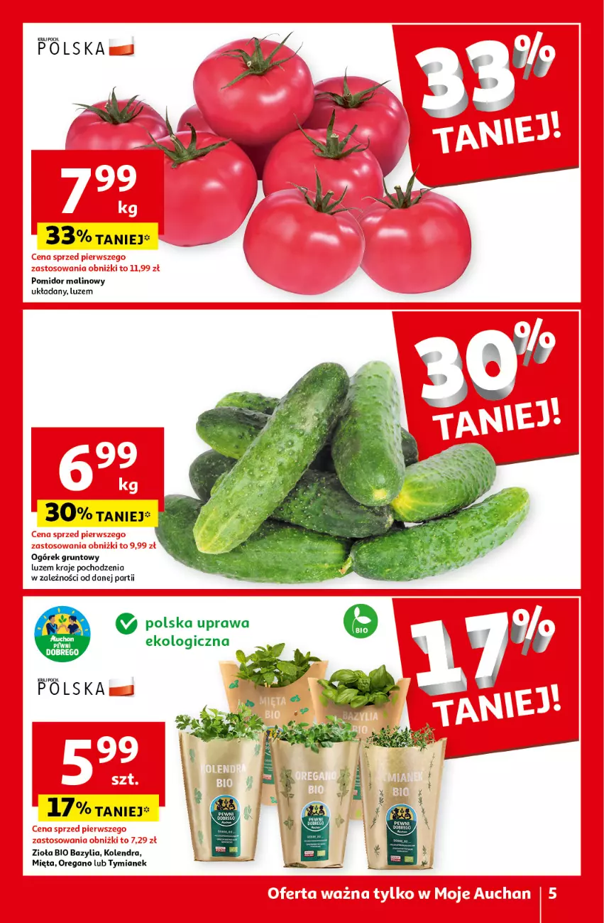 Gazetka promocyjna Auchan - Gazetka Oferty tygodnia Moje Auchan - ważna 23.05 do 29.05.2024 - strona 5 - produkty: Bazyl, Bazylia, Grunt, Kolendra, Mięta, Ogórek, Pomidor malinowy