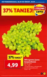 Gazetka promocyjna Lidl - GAZETKA - Gazetka - ważna od 28.04 do 28.04.2021 - strona 9 - produkty: Por, Winogrona, Wino