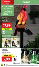 Gazetka promocyjna Lidl - GAZETKA - Gazetka - ważna od 17.05 do 17.05.2025 - strona 46 - produkty: Ivar, Lampa, Ogród
