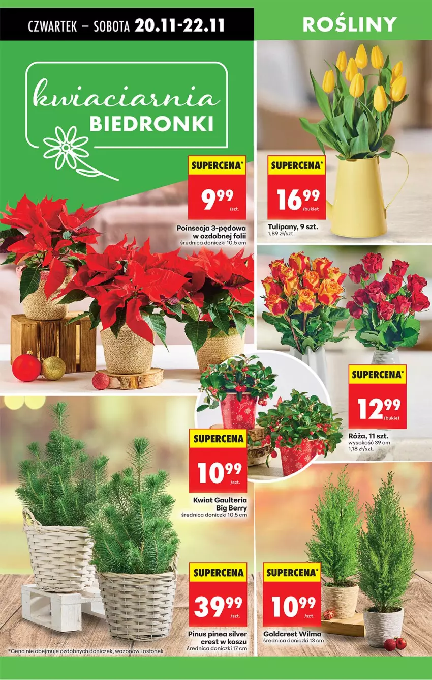 Gazetka promocyjna Biedronka - Od Czwartku - ważna 20.11 do 26.11.2025 - strona 17 - produkty: Bukiet, Kosz, Poinsecja, Sok, Tulipan, Wazon