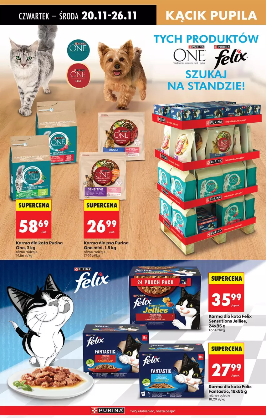 Gazetka promocyjna Biedronka - Od Czwartku - ważna 20.11 do 26.11.2025 - strona 80 - produkty: Fa, Fanta, Felix, Pur, Purina, Sati, Zdrowie