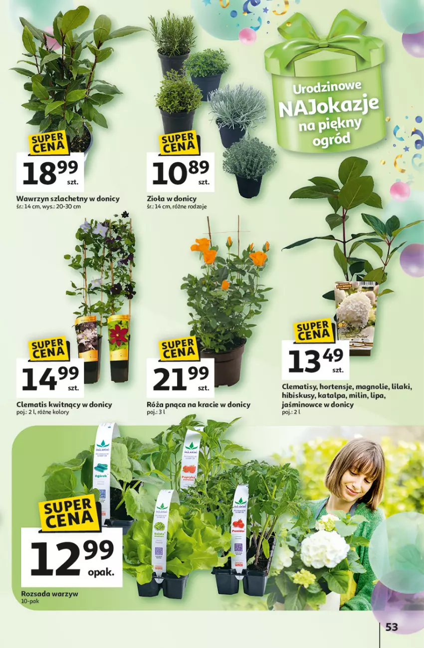 Gazetka promocyjna Auchan - Te URODZINY są NAJ Hipermarket - ważna 08.05 do 14.05.2025 - strona 57 - produkty: Hibiskus, Róża