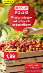 Gazetka promocyjna Lidl - GAZETKA - Gazetka - ważna od 17.09 do 17.09.2022 - strona 12 - produkty: Gala, Jabłka