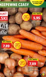 Gazetka promocyjna Lidl - GAZETKA - Gazetka - ważna od 17.09 do 17.09.2022 - strona 15 - produkty: Cebula, Por, Ziemniaki