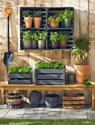 Gazetka promocyjna Obi - Gazetka OBI - Gazetka - ważna od 30.09 do 30.09.2022 - strona 74 - produkty: Mus, Ogród, Hobby, Fa