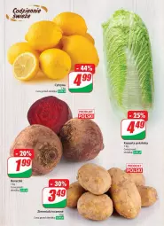Gazetka promocyjna Dino - Gazetka 8 - Gazetka - ważna od 27.02 do 27.02.2024 - strona 28 - produkty: Ziemniaki
