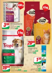 Gazetka promocyjna Dino - Gazetka 8 - Gazetka - ważna od 27.02 do 27.02.2024 - strona 53 - produkty: Mokra karma, Por, Mop, Sucha karma