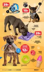 Gazetka promocyjna Netto - Od Czwartku Przemysłowa - Gazetka - ważna od 02.07 do 02.07.2025 - strona 7 - produkty: Zabawka, Smycz