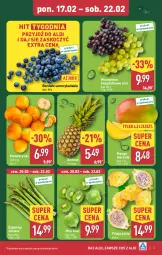 Gazetka promocyjna Aldi - Farmer ALDIK poleca świeże owoce i warzywa - Gazetka - ważna od 22.02 do 22.02.2025 - strona 3 - produkty: Mandarynki, Koc, Ananas, Kiwi, Winogrona, Winogrona bezpestkowe, Wino, Mango