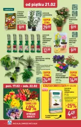 Gazetka promocyjna Aldi - Farmer ALDIK poleca świeże owoce i warzywa - Gazetka - ważna od 22.02 do 22.02.2025 - strona 6 - produkty: Sok, Hiacynt, Amarylis, Kalanchoe, Tera, Laur, Bukiet, Narcyz, Miecz