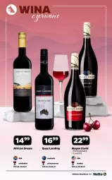 Gazetka promocyjna Netto - Alkohole - Mocne - Gazetka - ważna od 14.03 do 14.03.2026 - strona 13 - produkty: Gra, Granat, Mogen David