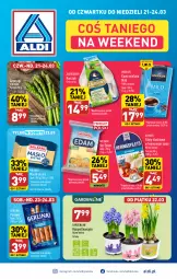 Gazetka promocyjna Aldi - Katalog weekendowy - Gazetka - ważna od 24.03 do 24.03.2024 - strona 1 - produkty: Kurczak, Sos, Ser, Gra, Hiacynt, Parówki, Kawa mielona, Kawa, Edam, Narcyz, Masło, Berlinki, Fa