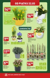 Gazetka promocyjna Aldi - Katalog weekendowy - Gazetka - ważna od 24.03 do 24.03.2024 - strona 7 - produkty: Sok, Hiacynt, Kalanchoe, Narcyz