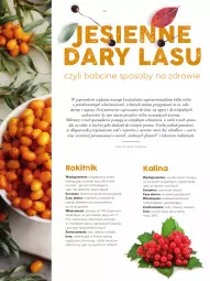 Gazetka promocyjna Kaufland - Magazyn