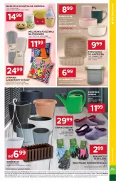 Gazetka promocyjna Stokrotka - Supermarket - Gazetka - ważna od 25.02 do 25.02.2026 - strona 33 - produkty: Warzywa, Konewka, Dywanik łazienkowy, Dywanik, Miseczka, Jogurt, Pojemnik, Poszewka, Optima, Owoce, Kubek, Mięso, Dywan