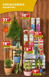 Gazetka promocyjna Biedronka - Gazetka - Biedronka.pl - Gazetka - ważna od 18.03 do 18.03.2023 - strona 23 - produkty: Sok, BIC, 