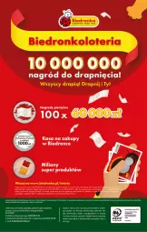 Gazetka promocyjna Biedronka - Gazetka - Biedronka.pl - Gazetka - ważna od 18.03 do 18.03.2023 - strona 48 - produkty: Gin, , Lion