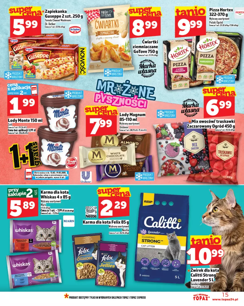 Gazetka promocyjna Topaz - Gazetka - ważna 13.02 do 19.02.2025 - strona 15 - produkty: Dr. Oetker, Hortex, Lody, Monte, Mus, Ogród, Pizza, Top, Zapiekanka, Zott