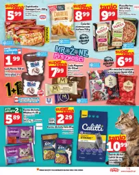 Gazetka promocyjna Topaz - Gazetka - Gazetka - ważna od 19.02 do 19.02.2025 - strona 15 - produkty: Top, Mus, Zott, Lody, Dr. Oetker, Pizza, Zapiekanka, Ogród, Monte, Hortex