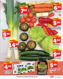 Gazetka promocyjna Topaz - Gazetka - Gazetka - ważna od 19.02 do 19.02.2025 - strona 7 - produkty: Top, Por, Roszponka, Sałata lodowa, Rukola, Ziemniaki, Sałat