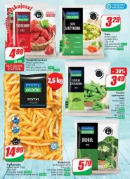 Gazetka promocyjna Dino - Gazetka - ważna od 06.02 do 06.02.2024 - strona 18 - produkty: Por, Zupa, Róża, Truskawki, Produkty mrożone, Frytki, Ogród, Fa