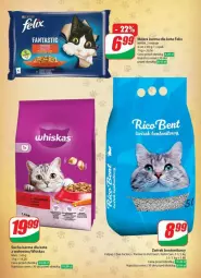 Gazetka promocyjna Dino - Gazetka - ważna od 06.02 do 06.02.2024 - strona 46 - produkty: Mokra karma, Whiskas, Mars, Felix, Sucha karma, Fa