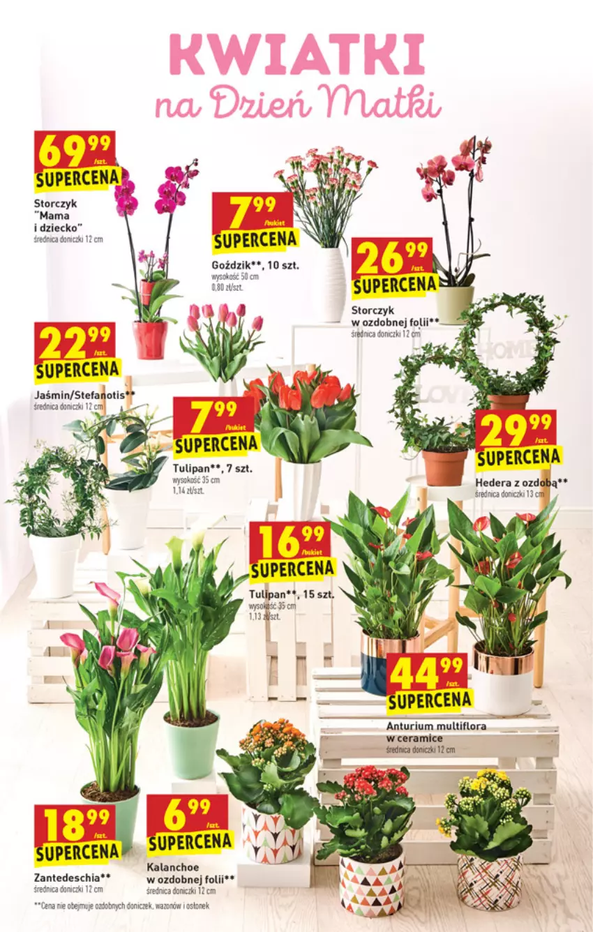 Gazetka promocyjna Biedronka - W tym tygodniu - ważna 20.05 do 26.05.2021 - strona 7 - produkty: BIC, Chia, Fa, Kalanchoe, Sok, Storczyk, Tulipan