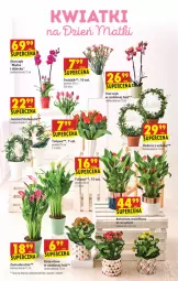 Gazetka promocyjna Biedronka - W tym tygodniu - Gazetka - ważna od 26.05 do 26.05.2021 - strona 7 - produkty: Sok, BIC, Tulipan, Chia, Kalanchoe, Storczyk, Fa