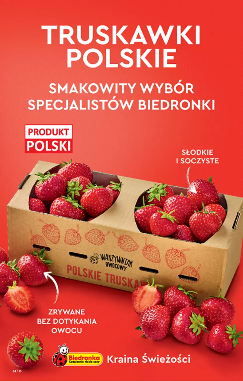 Gazetka promocyjna Biedronka - ważna 09.06 do 15.06.2022 - strona 14 - produkty: Truskawki