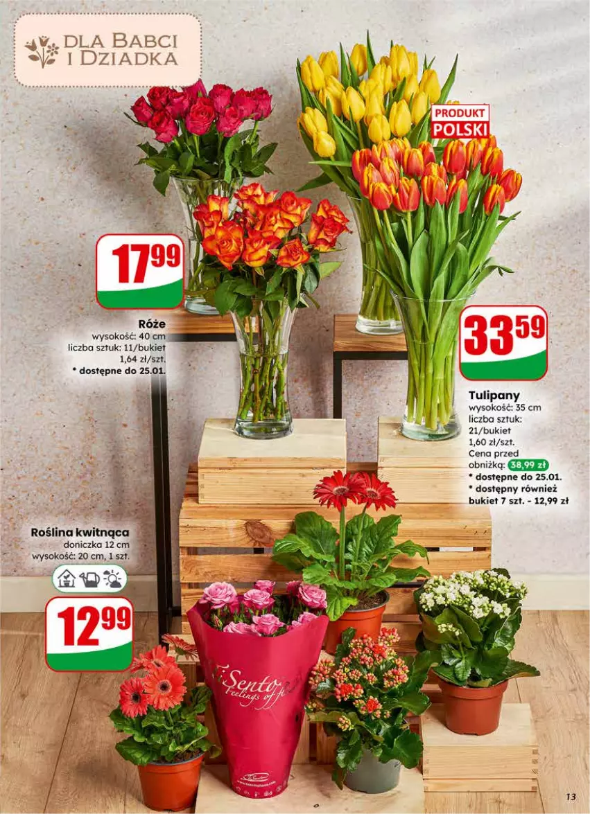 Gazetka promocyjna Dino - Gazetka 04 / 2026 - ważna 21.01 do 27.01.2026 - strona 13 - produkty: Bukiet, Sok, Tulipan