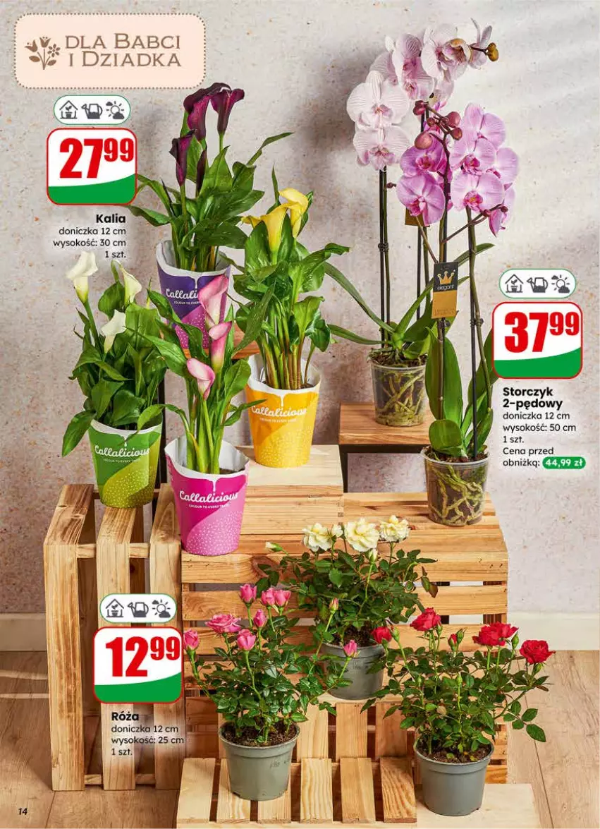 Gazetka promocyjna Dino - Gazetka 04 / 2026 - ważna 21.01 do 27.01.2026 - strona 14 - produkty: Sok