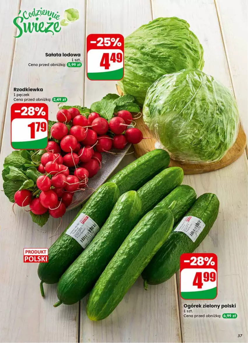 Gazetka promocyjna Dino - Gazetka 04 / 2026 - ważna 21.01 do 27.01.2026 - strona 37 - produkty: Ogórek, Rzodkiewka, Sałat, Sałata lodowa