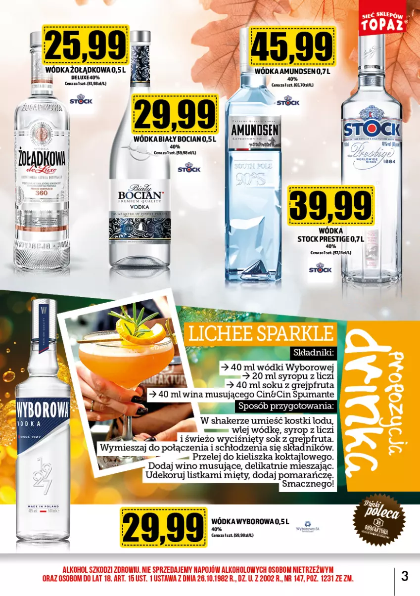 Gazetka promocyjna Topaz - Gazetka - ważna 02.11 do 30.11.2024 - strona 3 - produkty: Amundsen, Grejpfrut, Liczi, Mus, Puma, Sok, Stock, Syrop, Wino, Wino musujące, Wódka, Wyborowa