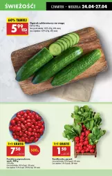 Gazetka promocyjna Biedronka - Od Czwartku - Gazetka - ważna od 30.04 do 30.04.2025 - strona 19 - produkty: Ogórek, Pomidory, Rzodkiewka
