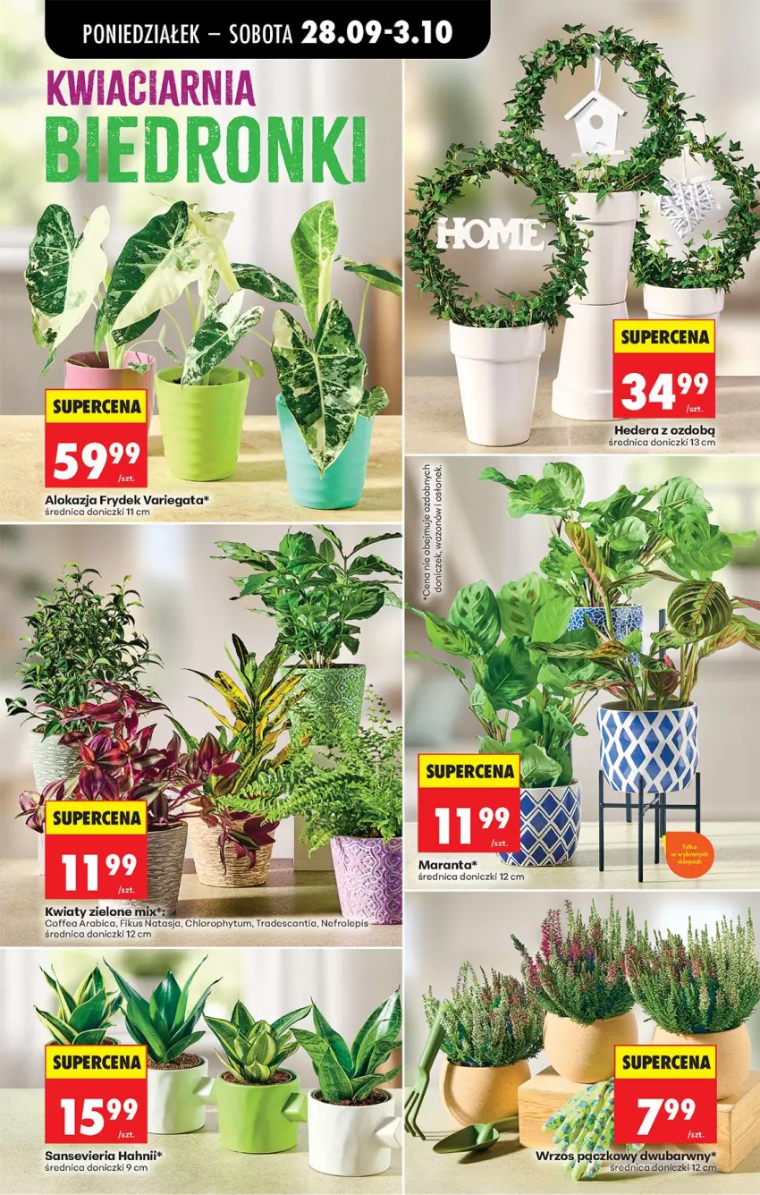 Gazetka promocyjna Biedronka - Od Poniedziałku - ważna 28.09 do 03.10.2026 - strona 40 - produkty: BIC, Wazon