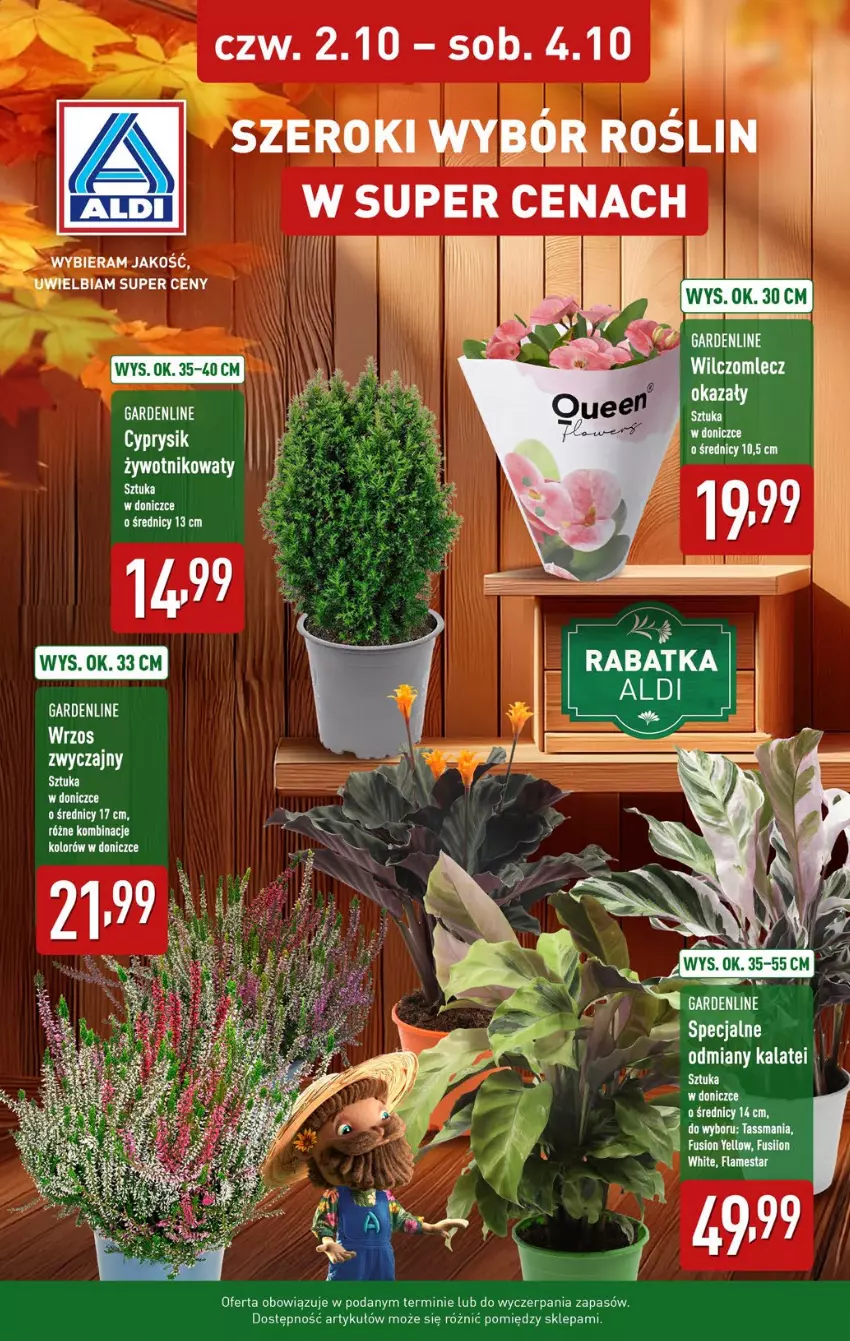 Gazetka promocyjna Aldi - Światełko pamięci - ważna 02.10 do 04.10.2025 - strona 7