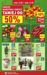 Gazetka promocyjna Aldi - Światełko pamięci - Gazetka - ważna od 04.10 do 04.10.2025 - strona 4 - produkty: Warzywa, Sok, Cyprysik, Papryka, Truskawki, Warzywa i owoce, Fusion, Owoce, Pomidory