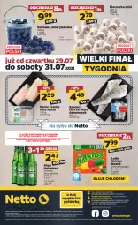 Gazetka promocyjna Netto - Gazetka spożywcza - Gazetka - ważna od 31.07 do 31.07.2021 - strona 16 - produkty: Piwa, Piwo, Piec, Por, Gra, Borówka, Borówka amerykańska, Kaktus, Heineken, Lody, Pieczarka, Sandacz filet, Dorsz, Sandacz, Nestlé