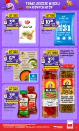 Gazetka promocyjna PoloMarket - Katalog Frikasów - Gazetka - ważna od 25.08 do 25.08.2026 - strona 5 - produkty: Ketchup, Mleko w proszku, Zupa, Papryka, Tera, Sezam, Pieprz, Mleko, LG