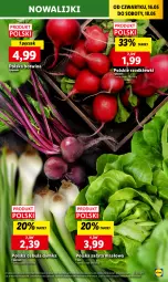 Gazetka promocyjna Lidl - GAZETKA - Gazetka - ważna od 18.05 do 18.05.2024 - strona 19 - produkty: Cebula, Sałata masłowa, Sałat, Masło