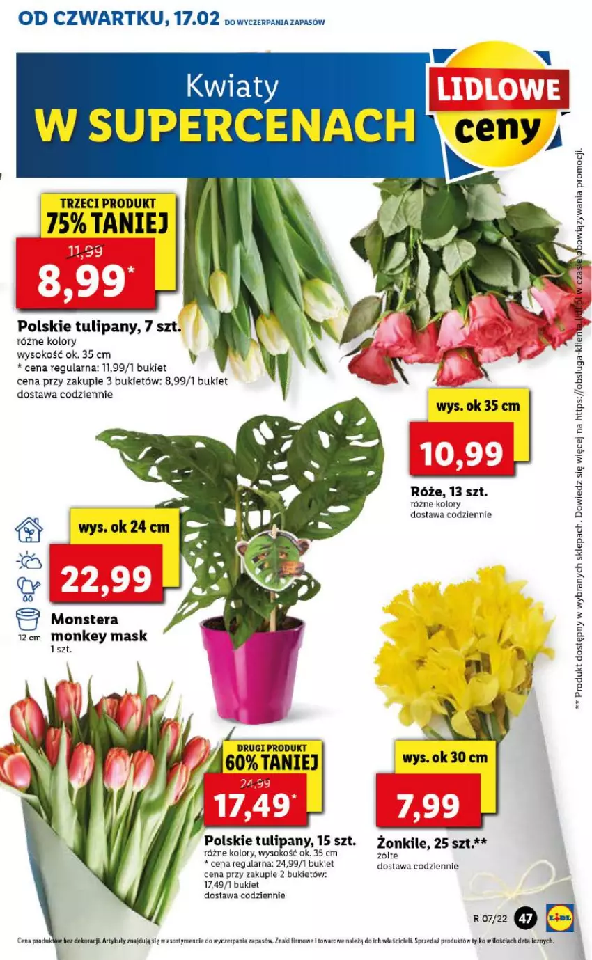 Gazetka promocyjna Lidl - GAZETKA - ważna 17.02 do 19.02.2022 - strona 47 - produkty: Bukiet, Sok, Tera, Tulipan