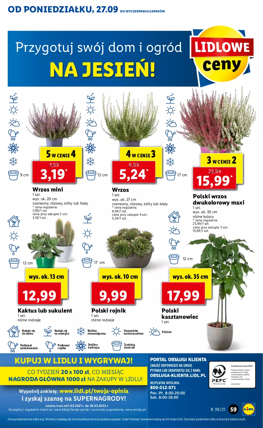 Gazetka promocyjna Lidl - GAZETKA - ważna 27.09 do 29.09.2021 - strona 59 - produkty: Cień, Gry, Kaktus, Mola, O nas, Ogród, Por, Sukulent