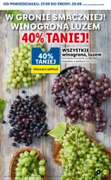 Gazetka promocyjna Lidl - GAZETKA - Gazetka - ważna od 29.09 do 29.09.2021 - strona 9 - produkty: Winogrona, Wino