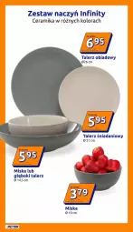 Gazetka promocyjna Action - Gazetka tydzień 33 2026 - Gazetka - ważna od 18.08 do 18.08.2026 - strona 21 - produkty: Talerz obiadowy, Talerz, Danio, Miska