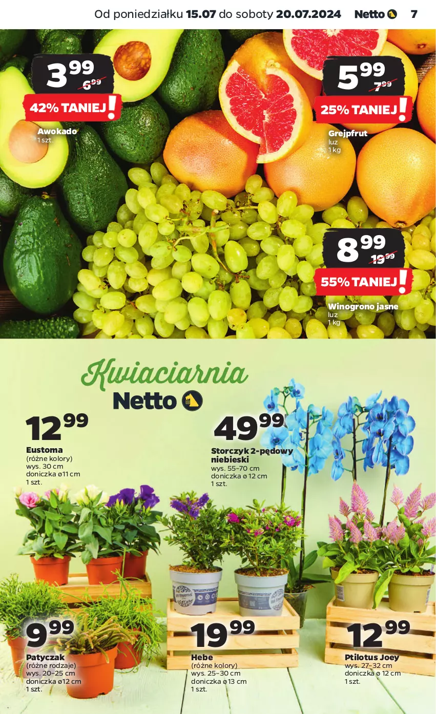 Gazetka promocyjna Netto - Od Poniedziałku - ważna 15.07 do 20.07.2024 - strona 7 - produkty: Grejpfrut, Storczyk, Wino