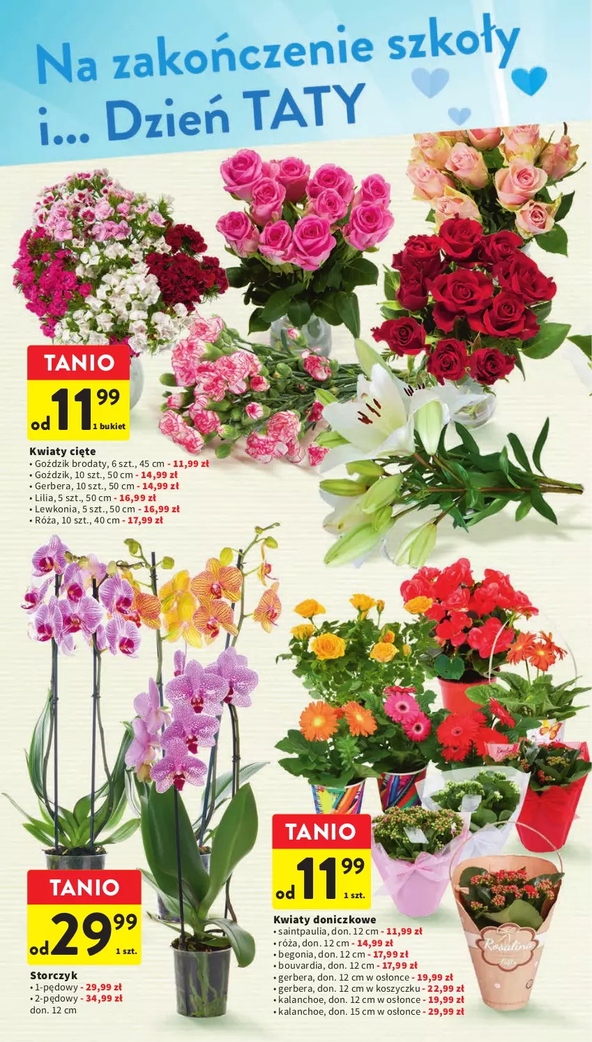 Gazetka promocyjna Intermarche - Gazetka Intermarche - ważna 22.06 do 28.06.2023 - strona 2 - produkty: Bukiet, Gerber, Kalanchoe, Kosz, Kwiaty cięte, Róża, Storczyk