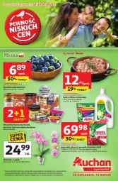 Gazetka promocyjna Auchan - Pewność niskich cen Supermarket - Gazetka - ważna od 23.07 do 23.07.2025 - strona 1 - produkty: Kurczak, Ser, Gra, Proszek do prania, Pasztet, Storczyk, Pulpety, Ariel, Fa