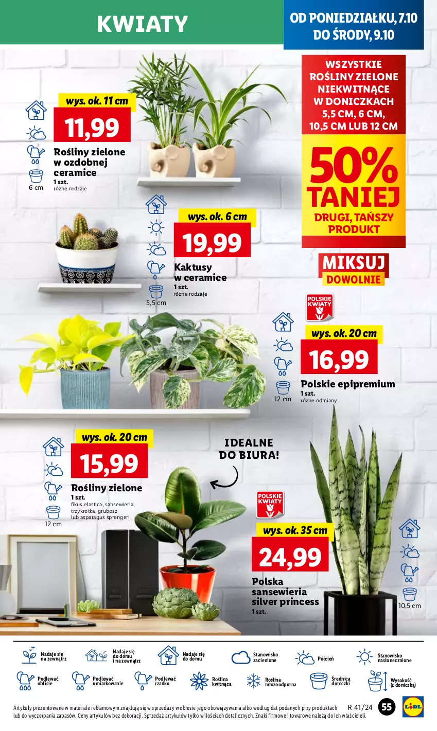 Gazetka promocyjna Lidl - GAZETKA - ważna 07.10 do 09.10.2024 - strona 63 - produkty: Cień, Kaktus, O nas, Por, Sok