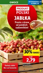 Gazetka promocyjna Lidl - GAZETKA - Gazetka - ważna od 09.10 do 09.10.2024 - strona 19 - produkty: Owoce, Jabłka